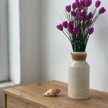 Apartman Dma 蒂瓦特 外观 照片